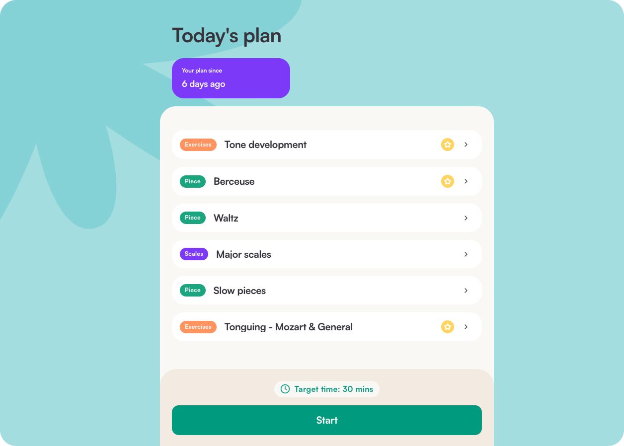 A clear practice plan for a flute student